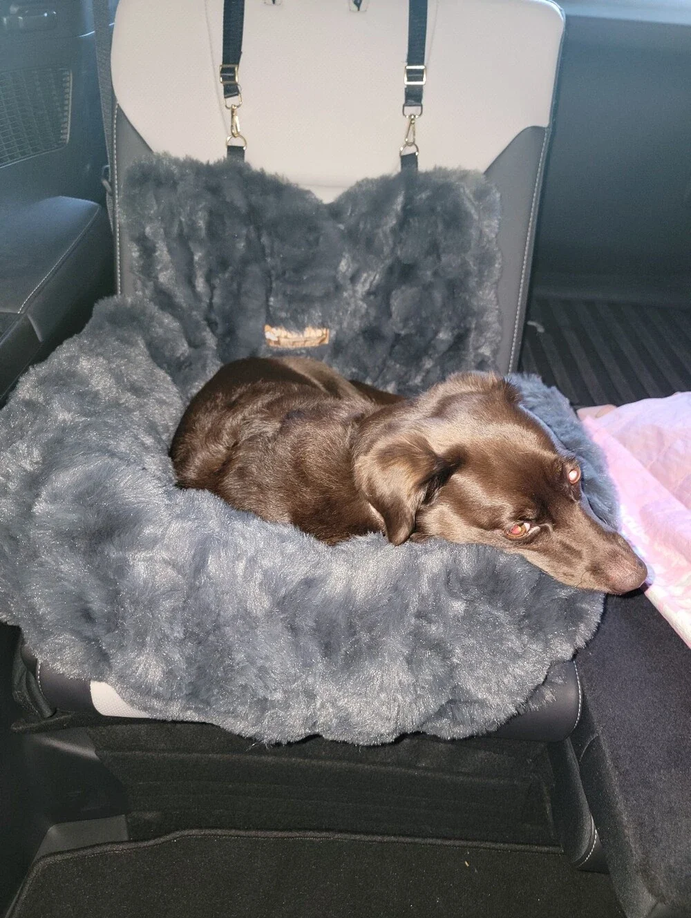 Pelsbarn Dog Car Bed Charcoal with Gold Hardware
